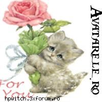 Flori - Angel of dream - Animale si plante